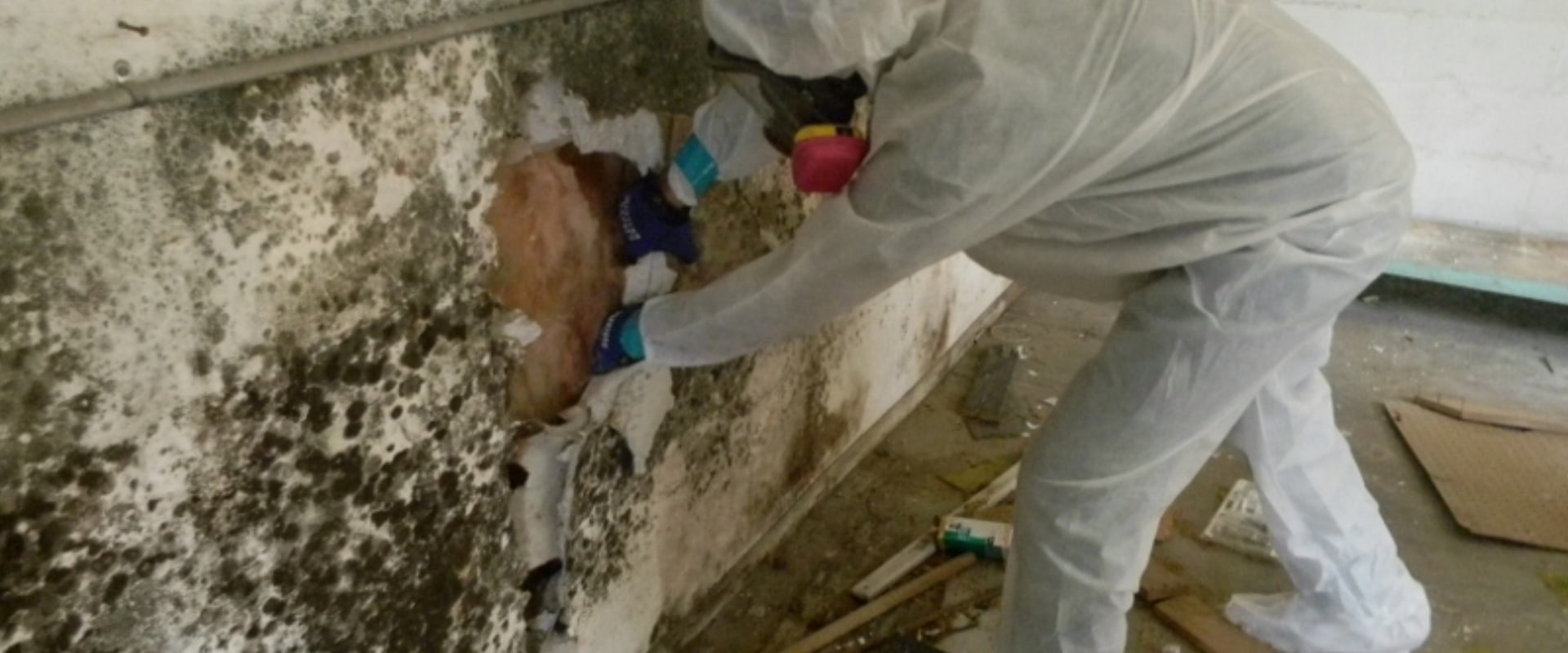 Mold Remediation In Hollywood, FL: Collaborating With Residential Electricians For A Thorough Solution