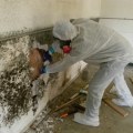 Mold Remediation In Hollywood, FL: Collaborating With Residential Electricians For A Thorough Solution