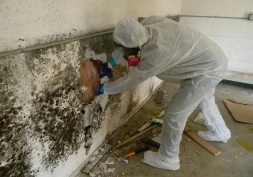 Mold Remediation In Hollywood, FL: Collaborating With Residential Electricians For A Thorough Solution